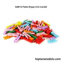 Ahşap Mini Mandal 100'lü Paket