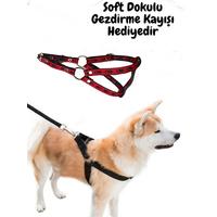 Köpek Tasması 1.70 Metre 